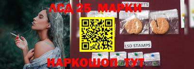 дмт Краснодар