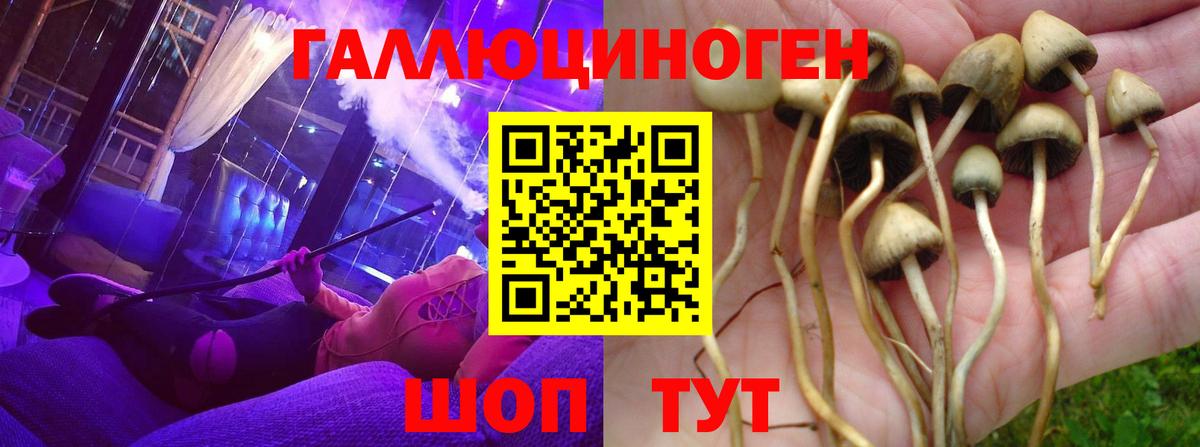 Чебоксары  Галлюциногенные грибы мухоморы  Галлюциногенные грибы прущие грибы  Вход с VPN 